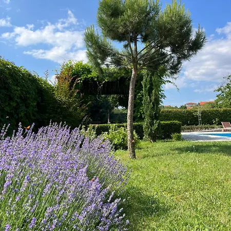 Garden 2 Bedroom With Pool Near To Sunny * Alekszandrovo